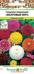 Георгина Махровый мяч смесь 0,2гр НК цветы