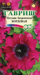 Петуния Бордовая бахромчатая 7шт пробирка Гавриш