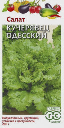 Салат Кучерявец Одесский 0,5гр хрустящий Уд. с. Гавриш