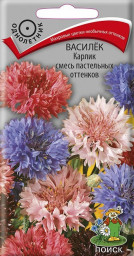 Василек Карлик смесь пастельных оттенков 0,1гр Поиск