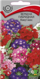 Вербена гибридная Мамут микс 0,2гр Поиск